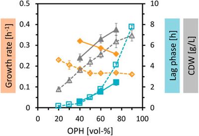 Utilization of orange peel waste for sustainable amino acid production by Corynebacterium glutamicum